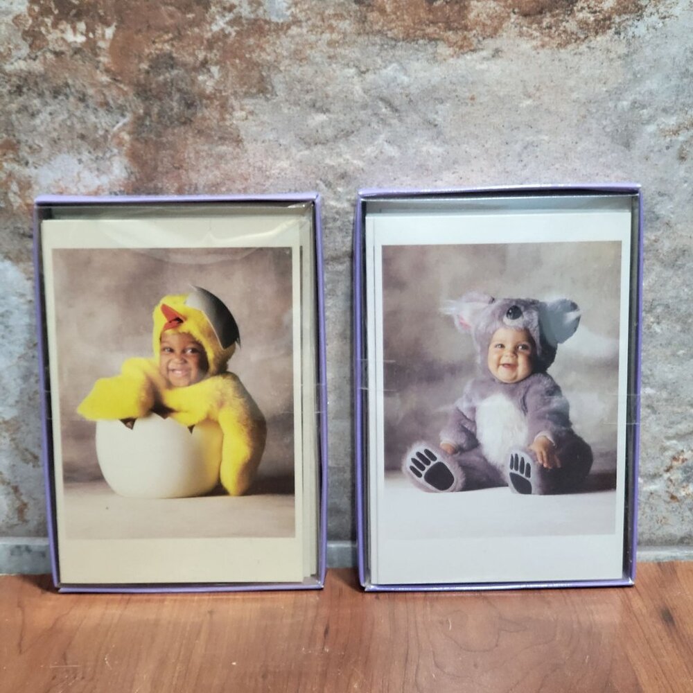 Vintage Tom Arma Note Cards Baby Hatched Chick Baby in Koala Costume 2004 Set of